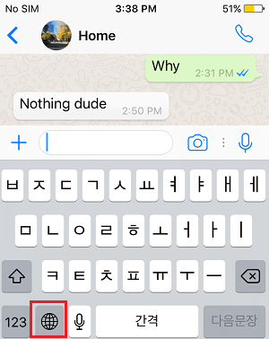 Use Korean Keyboard on iPhone