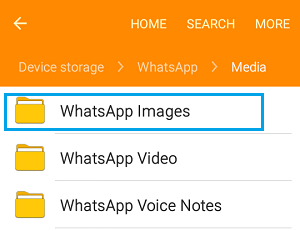 Carpeta de imágenes de WhatsApp en un teléfono Android