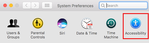 Accessibility Option in System Preferences Screen on Mac