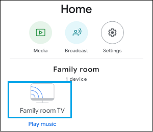 Chromecast Settings Option in Google Home App