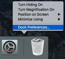 Dock Preferences Option on Mac