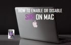 Enable or Disable Siri on Mac