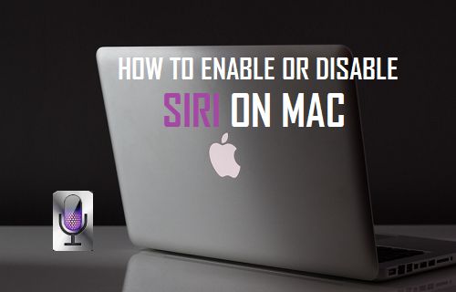 How To Enable Or Disable Siri On Mac