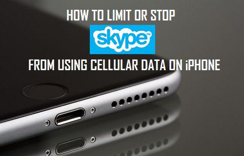 Limit Or Stop Skype From Using Cellular Data On iPhone
