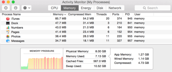 Memory Tab in Activity Monitor on Mac