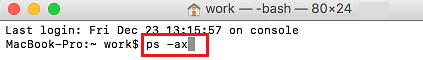 ps -ax Command in Terminal on Mac