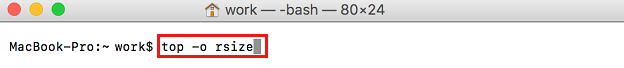 Top -o Rsize Command in Terminal on Mac