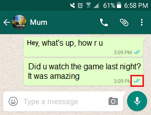 WhatsApp Message Seen Blue Tick Marks