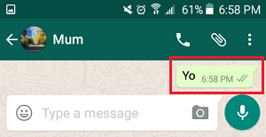 WhatsApp Message Sent Tick Marks