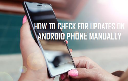 Check For Updates on Android Phone Manually