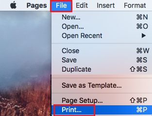 File Print Option on Mac Menu