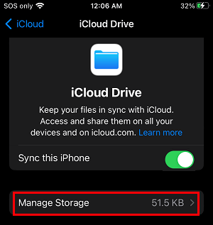 Manage iCloud Drive Storage Option on iPhone