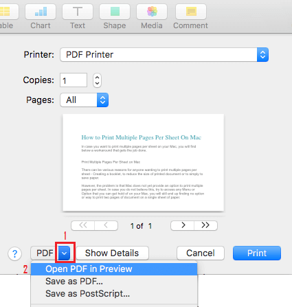 Open Document In PDF Preview Option on Mac