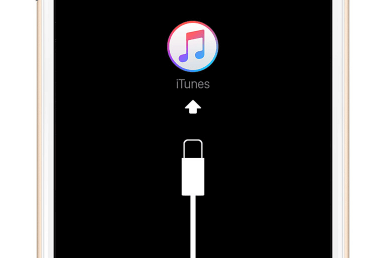 What to Do if You Get Locked Out of iPhone - 14