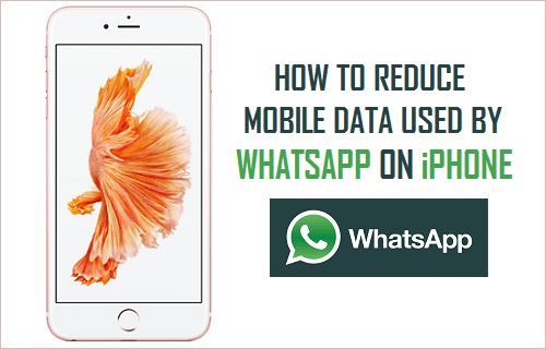 Reduce Mobile Data Used By WhatsApp on iPhone