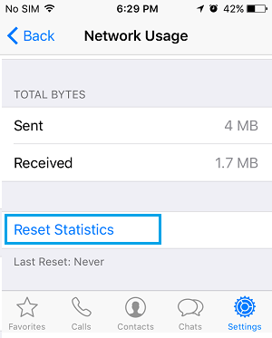 Reset Network Usage Statistics Option on iPhone 