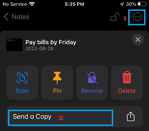 Send A Copy Option in Notes App on iPhone