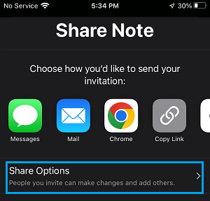 Share Notes Settings Options on iPhone