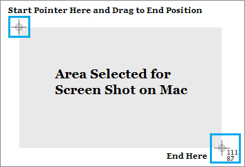 Take Screenshot Of Selected Portion of Screen on Mac