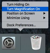 Turn Magnification On Option on Mac