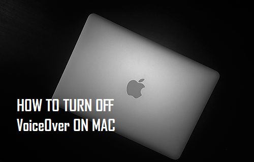 Turn Off VoiceOver On Mac