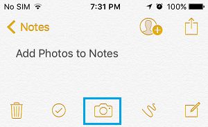 Camera Icon on Notes App
