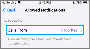 How to Make A Conference Call On iPhone - 27