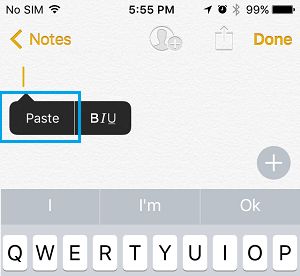 Paste Option in Notes App On iPhone