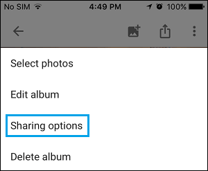 Sharing Options Tab in Google Photos App