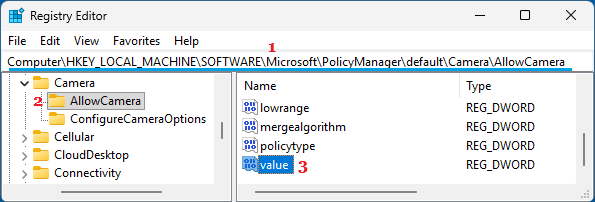 Open Value Entry in AllowCamera Registry Entry