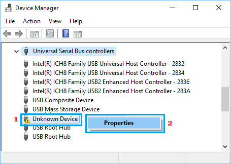 Faulty Device Listed on Device Manager Screen