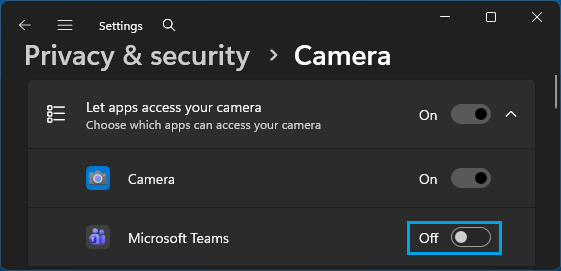 Disable Camera for Specific Apps on Windows Computer