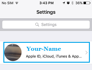 Apple ID Tab in iPhone Settings Screen
