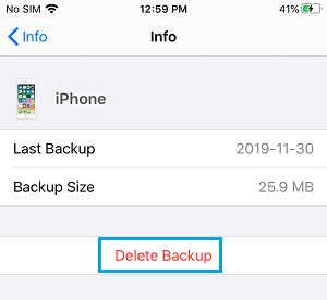 Delete iCloud Backup on iPhone
