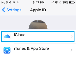 iCloud Tab on iPhone Settings Screen