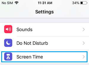 Screen Time Settings Option on iPhone