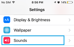 Sound Setting Option on iPhone