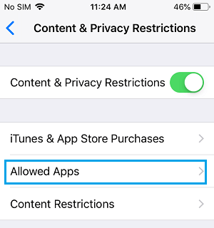 Allowed Apps Settings Option on iPhone