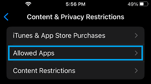 Allowed Apps Settings Option on iPhone
