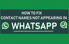 Contact Names Not Appearing in WhatsApp