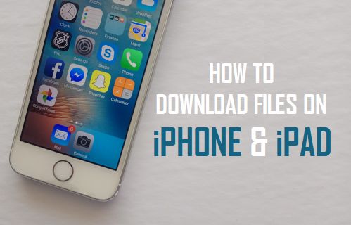 Download Files On iPhone and iPad