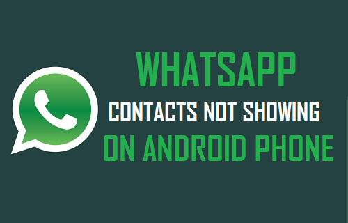 WhatsApp Contacts Not Showing On Android Phone