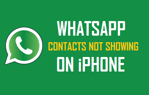Fix  WhatsApp Contacts Not Showing On iPhone - 33