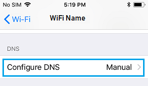 Configure DNS Settings Option on iPhone