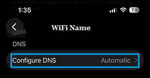 Configure DNS Option on iPhone