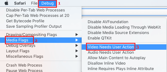 Media Flags Video Needs User Action option on Mac Safari Browser