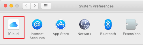 iCloud Option in System Preferences screen on Mac