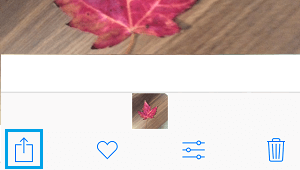 Teilen-Symbol In Der Fotos-App Auf Dem Iphone