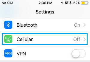 Cellular Option on iPhone Settings Screen