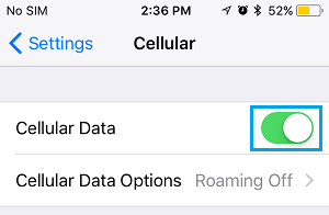 Enable Cellular Data on iPhone